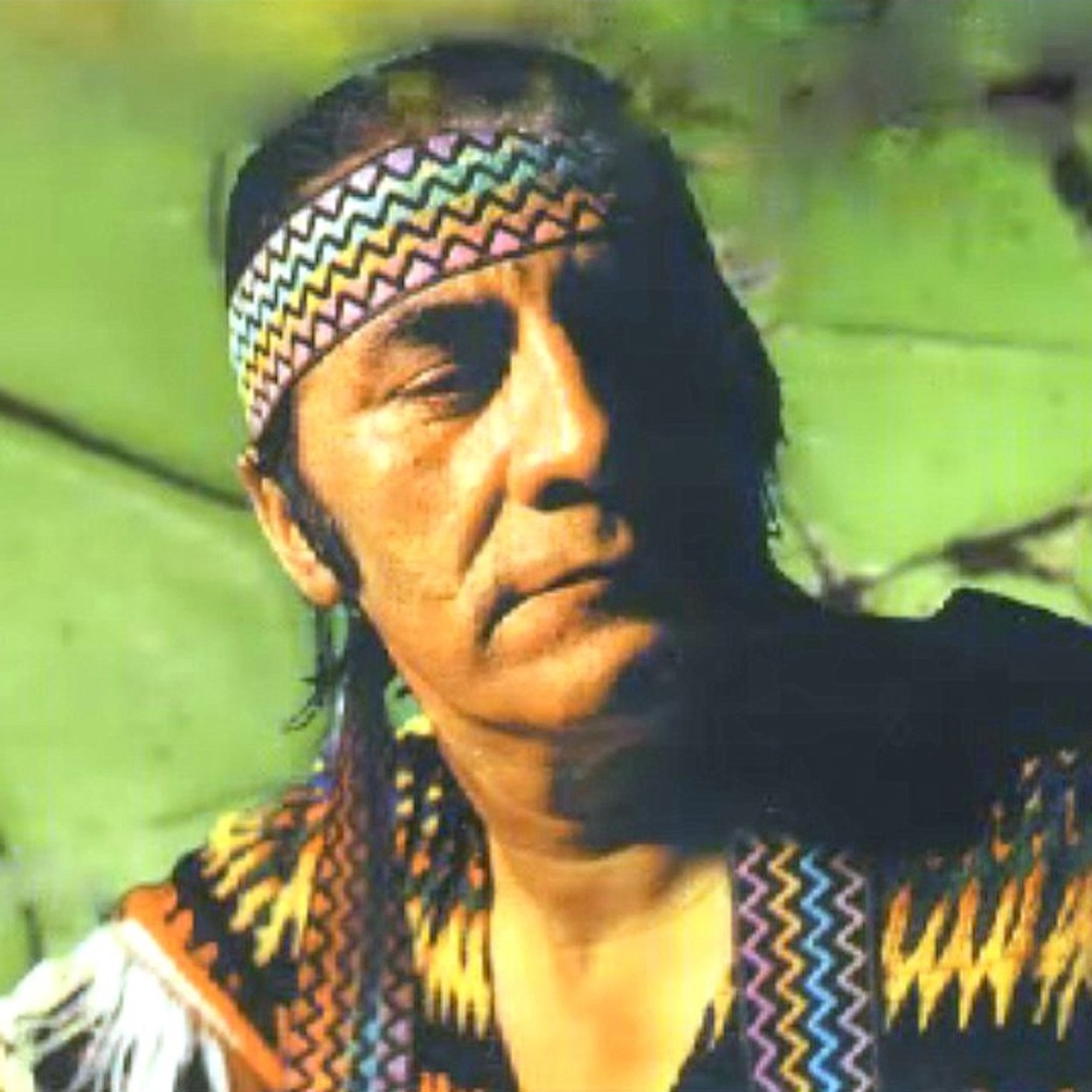 Folklore del NOA EL INDIO ARAUCANO RESEÑA BIOGRÁFICA Y ÁLBUM EL