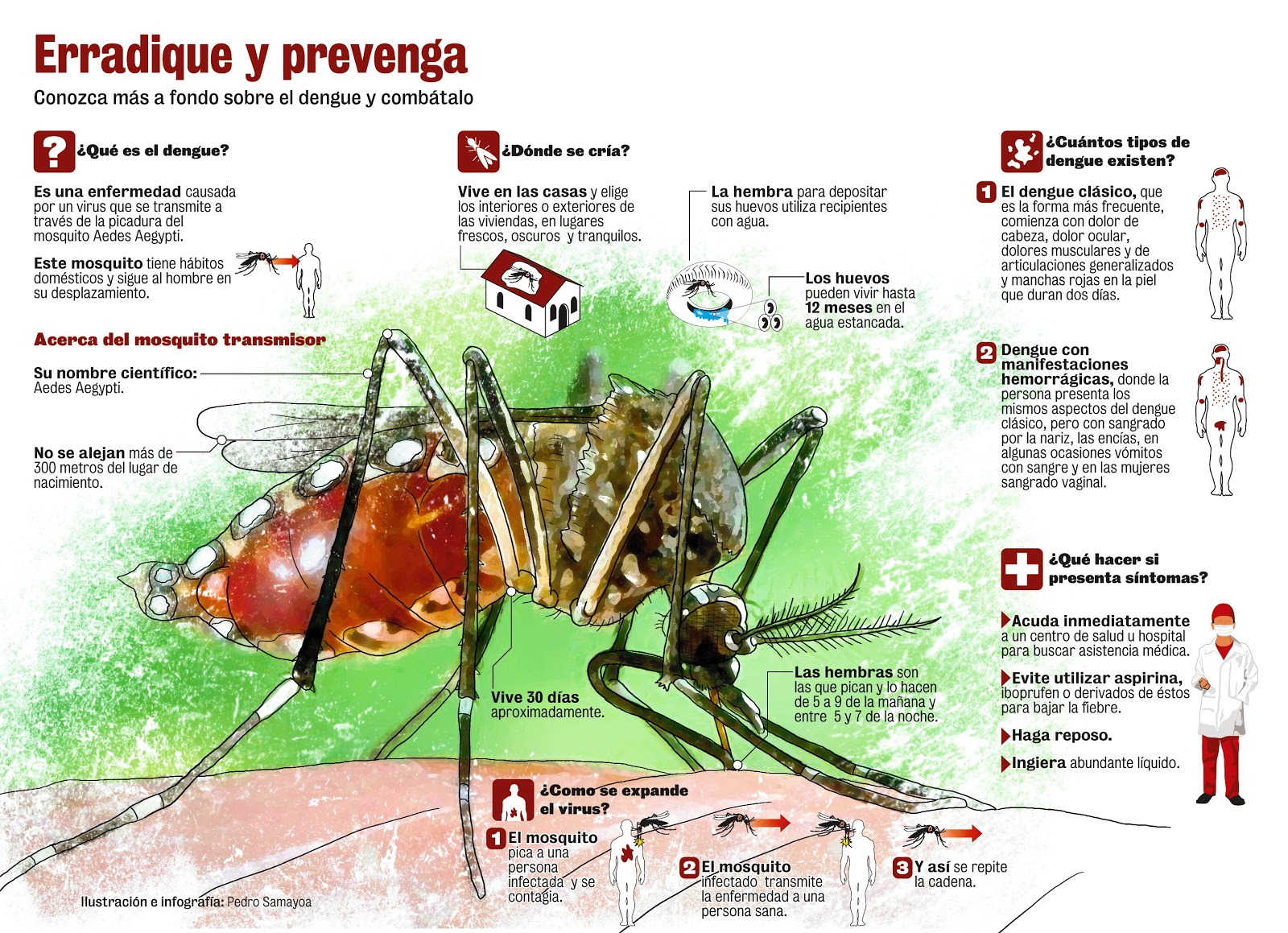 Das ist der Anfang vom Ende - Pagina 13 Dengue