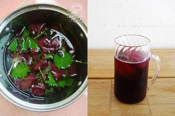 Lá tía tô tươi nấu nước pha mật ong uống trước bữa ăn, điều kỳ diệu sau 7 ngày Lá tía tô tươi nấu nước pha mật ong uống trước bữa ăn, điều kỳ diệu sau 7 ngày