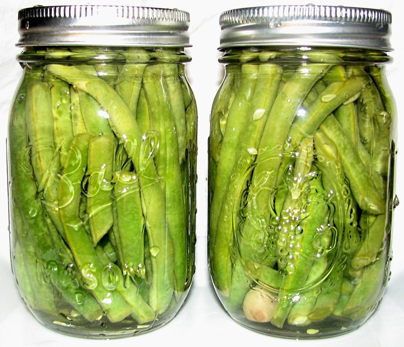 FOOD PRESERVING DILLY BEANS PICKLED GREEN BEANS