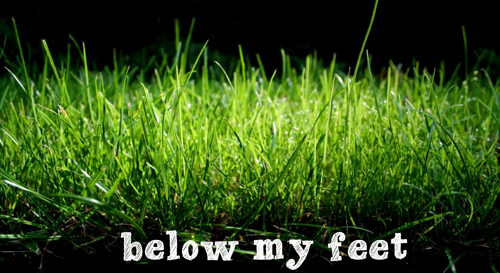 Hello Duffymoon Below my feet