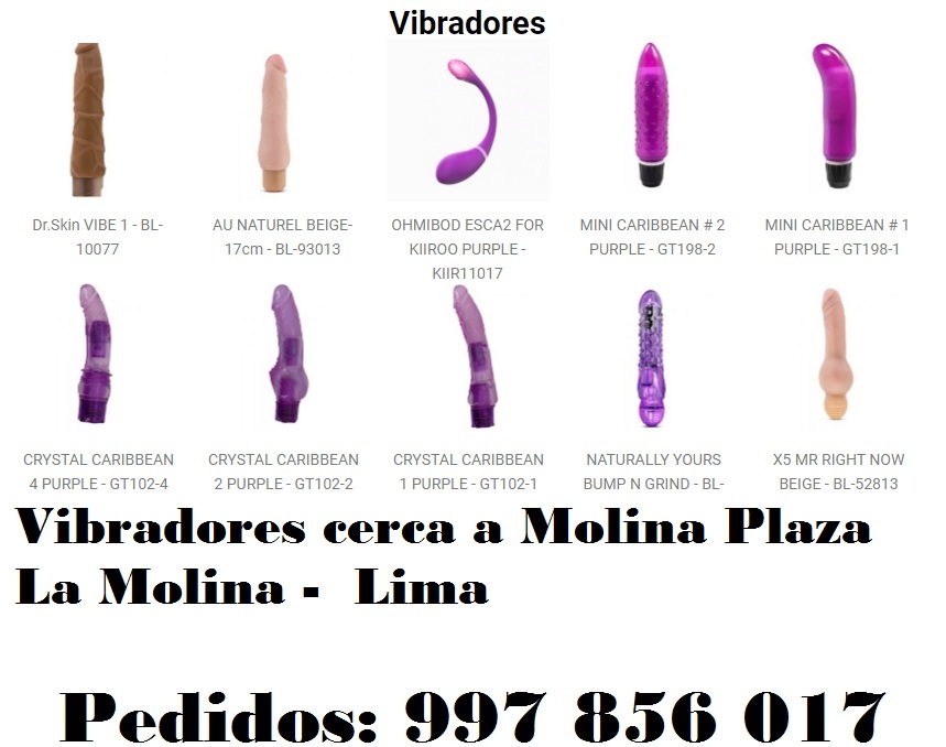 cerca a Molina Plaza La Molina -  Lima
