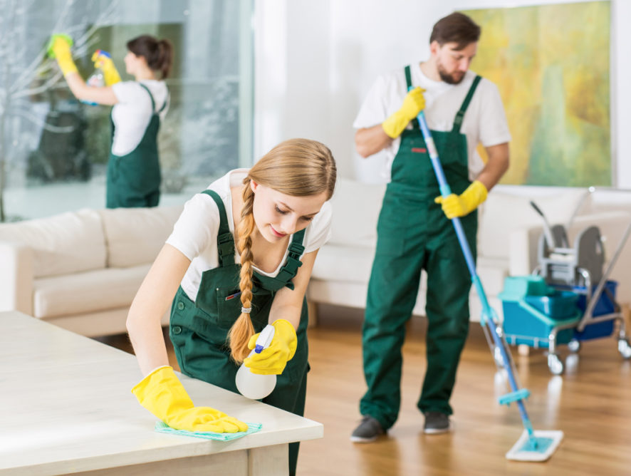 Professional carpet and general cleaners in Birmingham