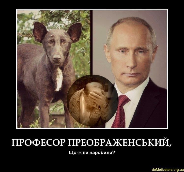 Обзор разных поз для секса, видео онлайн