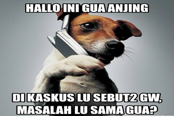 Meme Anjing Dengan Kata Kata Lucu Humor Lucu Banget