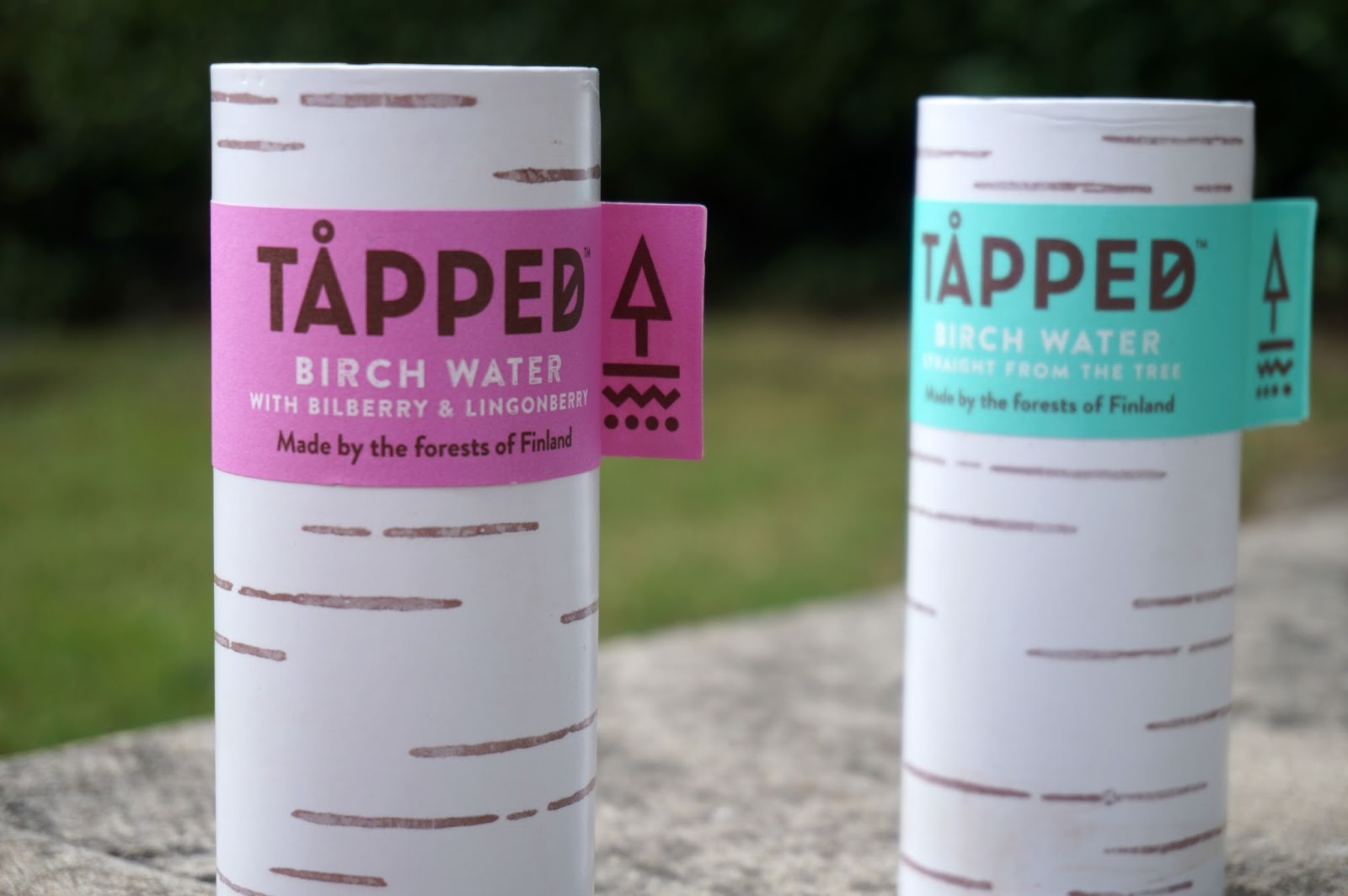 Tapped-Birch-Water