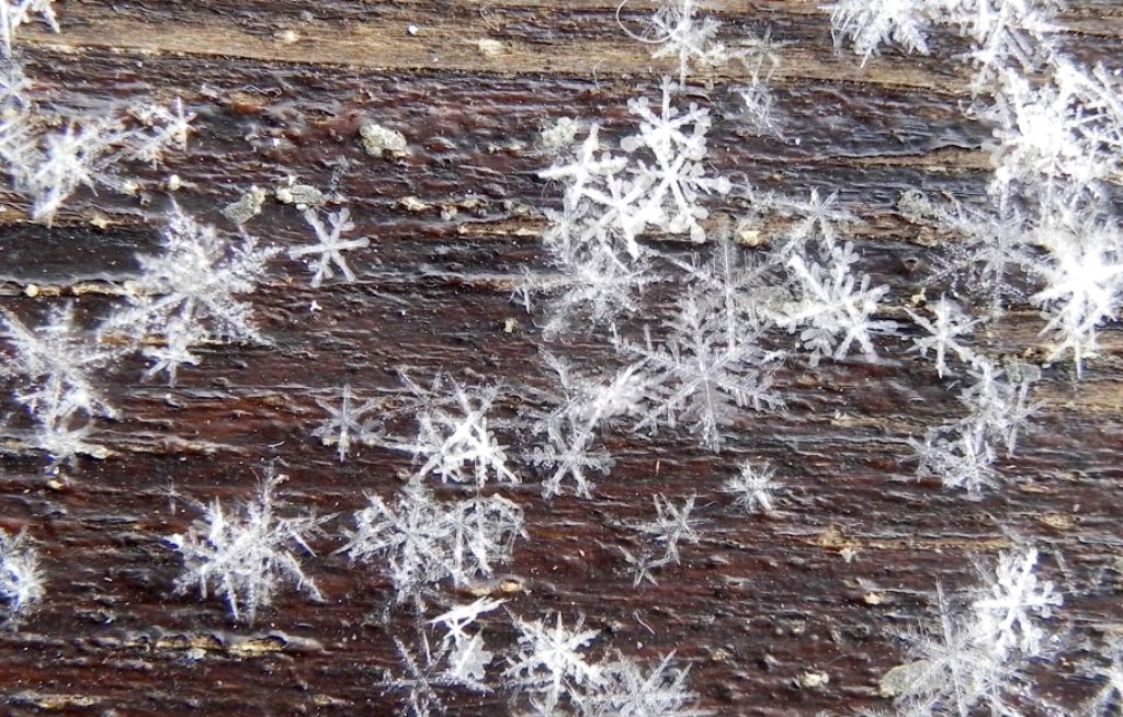 Муха снег. Снежинки в природе. Снежные хлопья. Кристаллы снега. Снежинка под увеличительным стеклом.