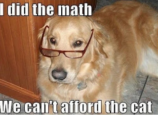 Dog Memes Dog Memes