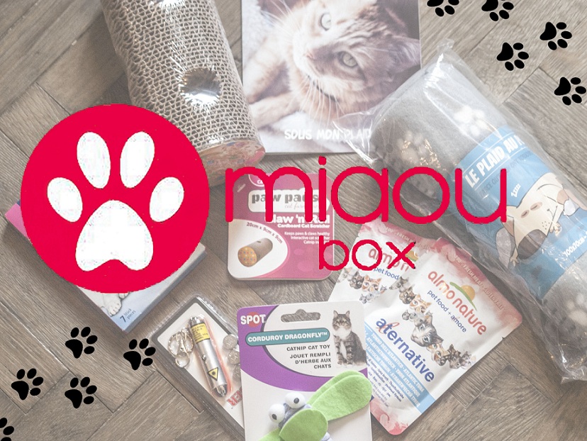 miaoubox, octobre, chats, box
