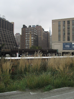 Desayuno en Nueva York y un Paseo por Washington - Blogs de USA - SEXTO DÍA-24 Octubre: HIGH LINE, MEATPACKING, CHELSEA, FLATIRON DISTRICT Y TOR (1)