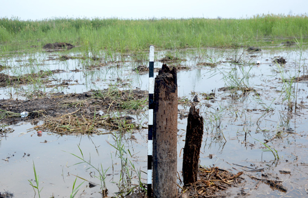 TERBAKARNYA WANUA SRIWIJAYA DI LAHAN GAMBUT SUMATERA SELATAN - Travel