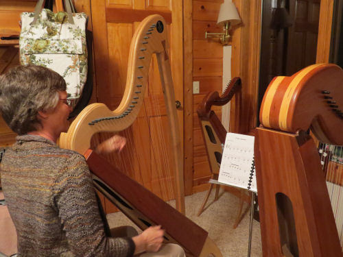 playing Celtic harp