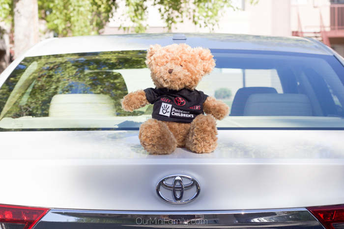toyota teddy