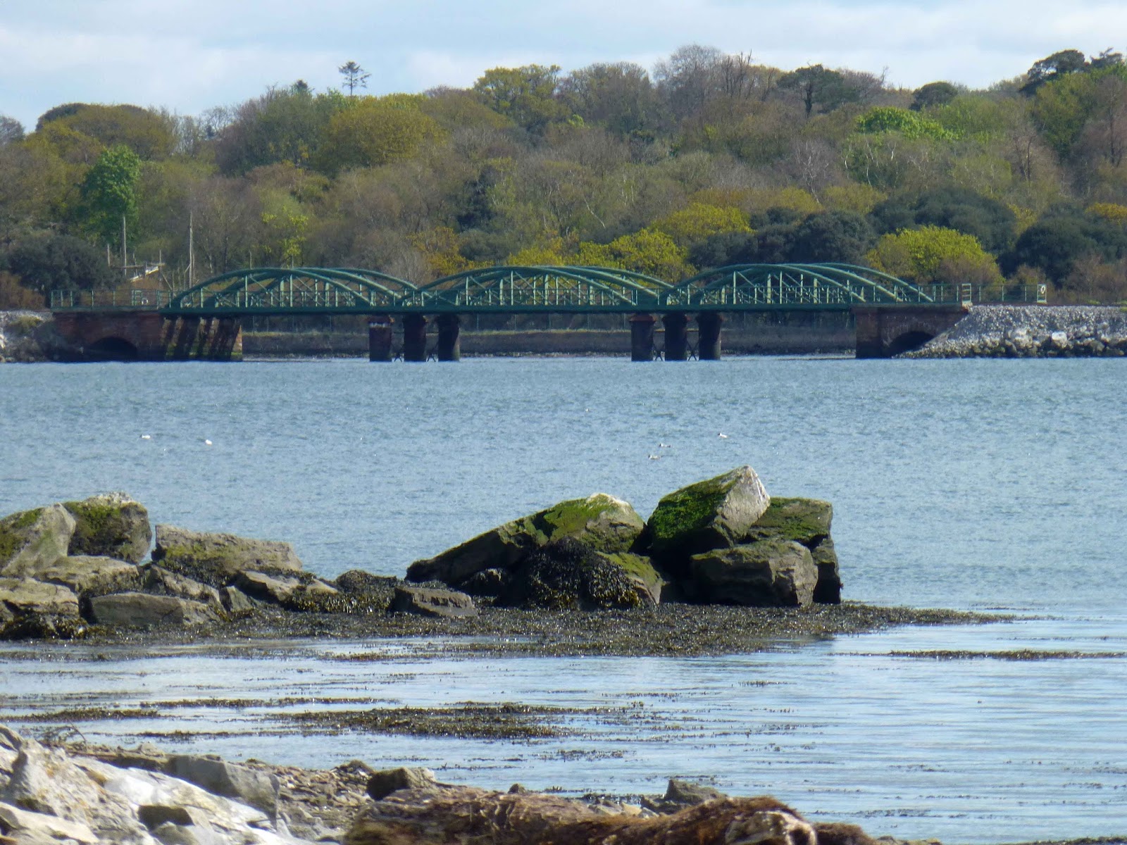 A Walk in Little Island. Conservation Area Included