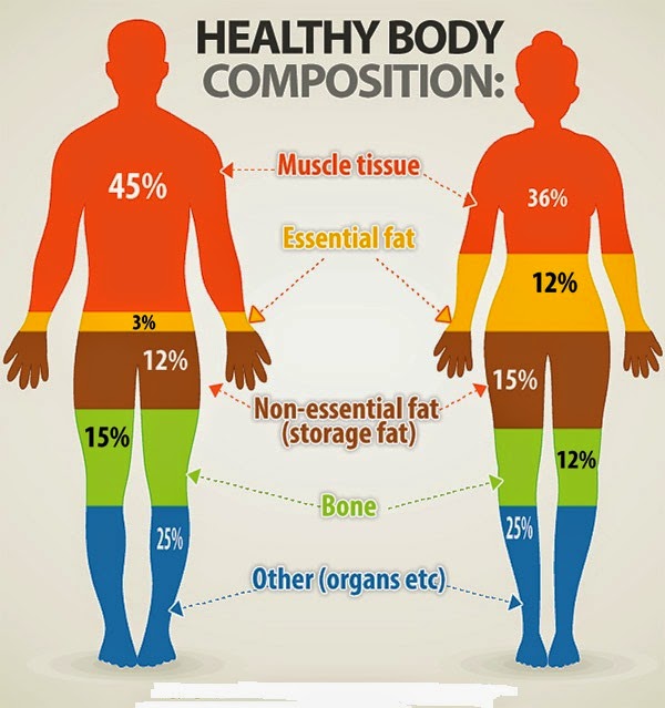 How To Calculate Body Fat Composition Haiper 