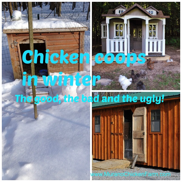 Murano Chicken Farm Winter chicken coops the good, bad and ugly