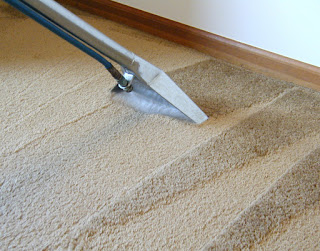 membersihkan karpet