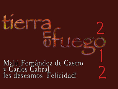 Tierra en Fuego: diciembre 2011