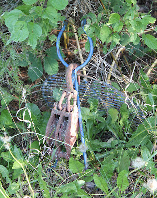 scrap metal bird sculpture in the woods