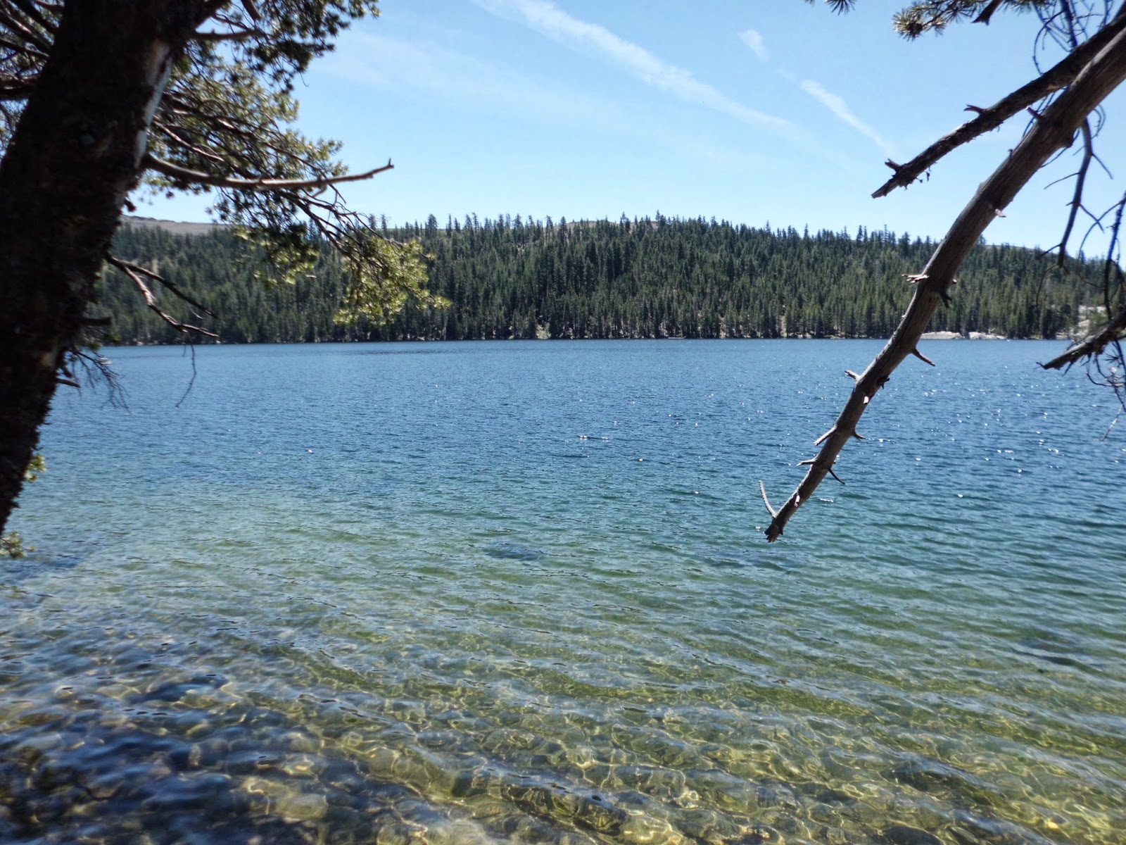 The Tactical Outdoorsman Lake Alpine, California