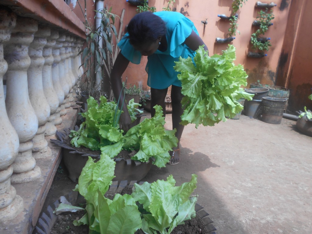 Atelier de formation en Agriculture Urbaine