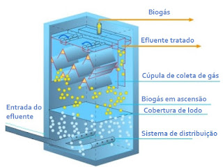 Esquema do processo de funcionamento de um Reator UASB esquema processo funcionamento Reator UASB