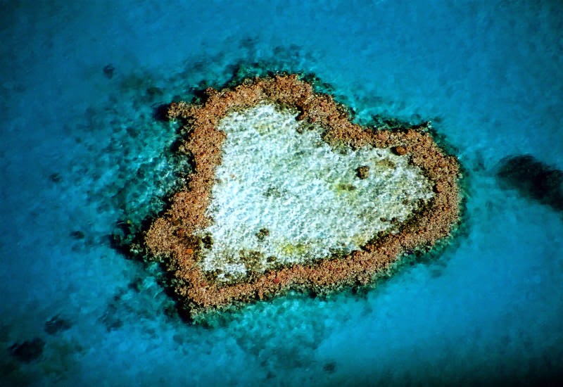 TraveloCity The Heart Reef