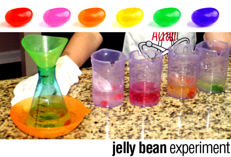 E is for Explore! Jelly Bean Science and Math