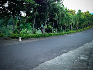 Green Scenery Along The Way Of The Street Of The Village At Banjar Tegeha North Bali Indonesia