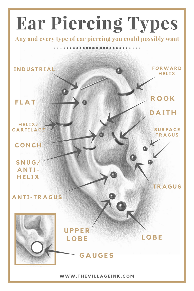 Toronto Tattoos Types of Ear Piercings Explained