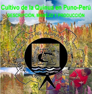 Cultivo de Quinua en Puno