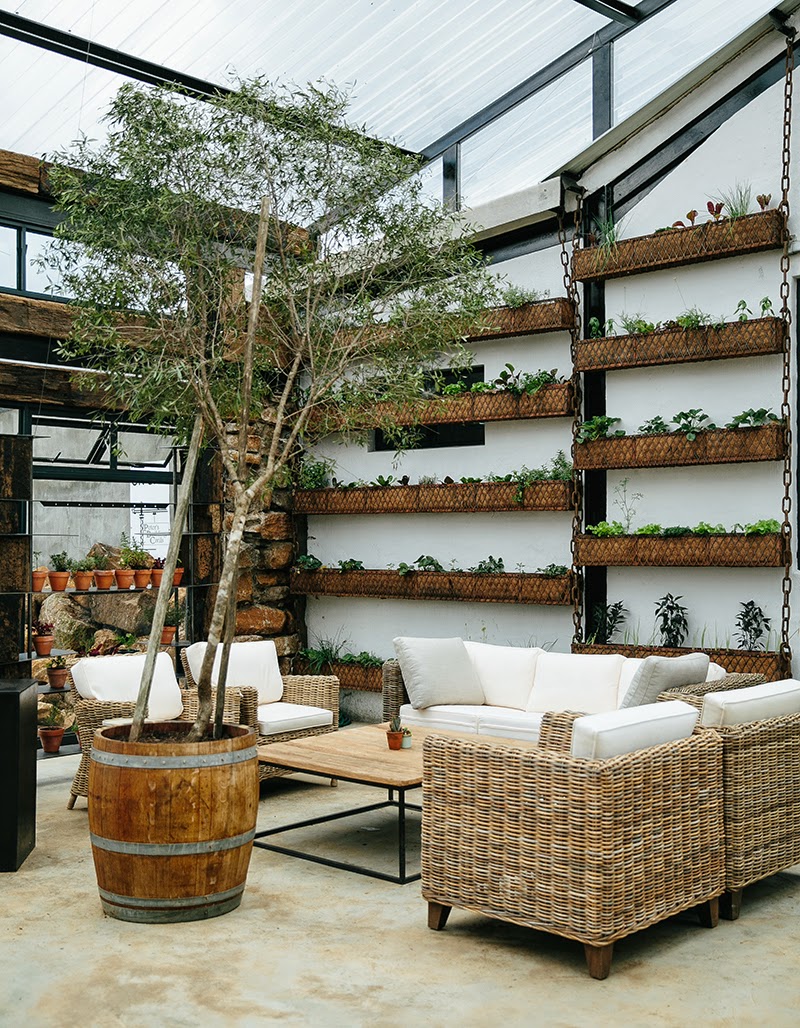 An Urban Village BLUEBERRY CAFE, KZN MIDLANDS, SOUTH AFRICA BY ANATOMY