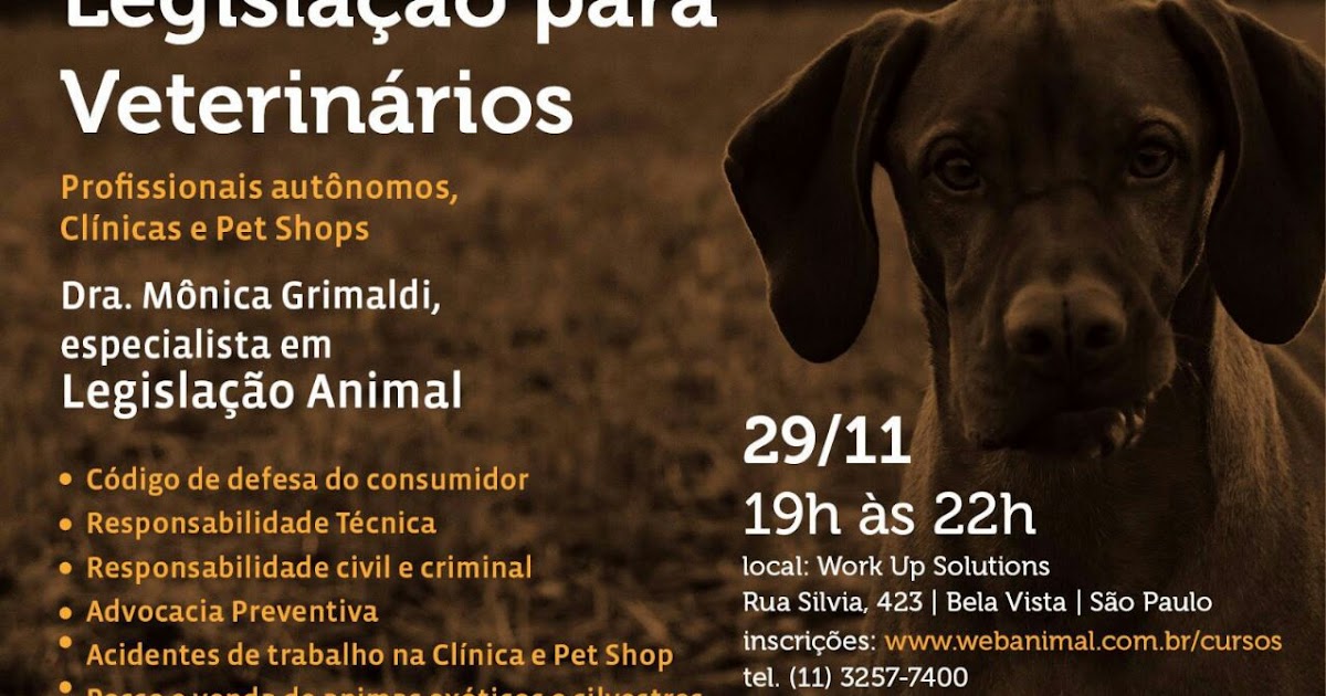 Dra. Monica Grimaldi Direito Animal