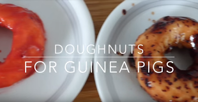 Guinea Pig Treat Recipes