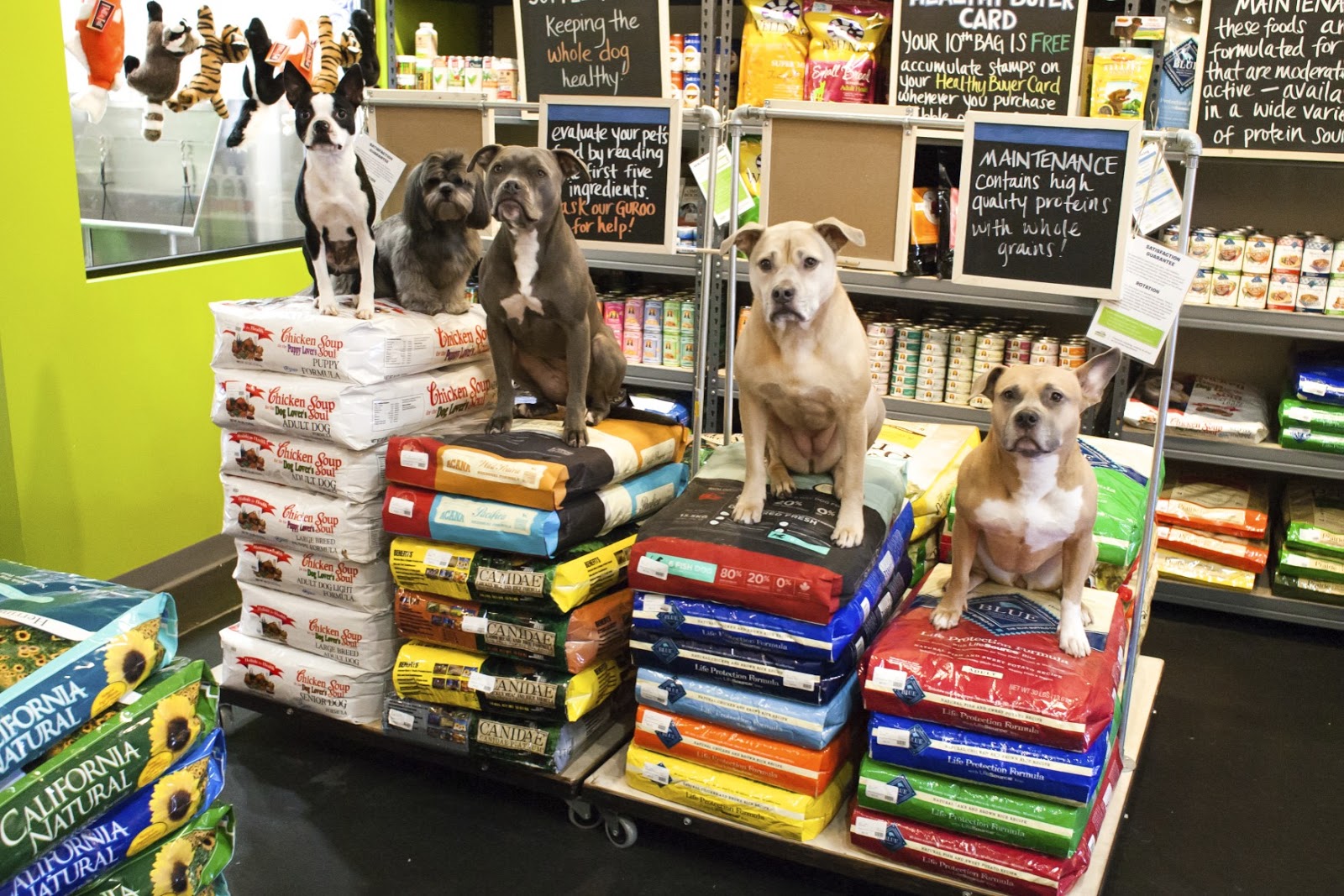 SoPo Cottage February 2013