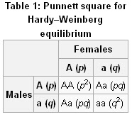 how to calculate allele frequency using hardy weinberg how to calculate allele frequency using hardy weinberg
