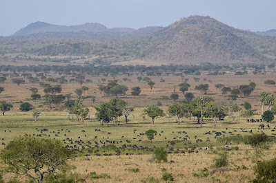 Narus Valley, Kidepo Valley National Park