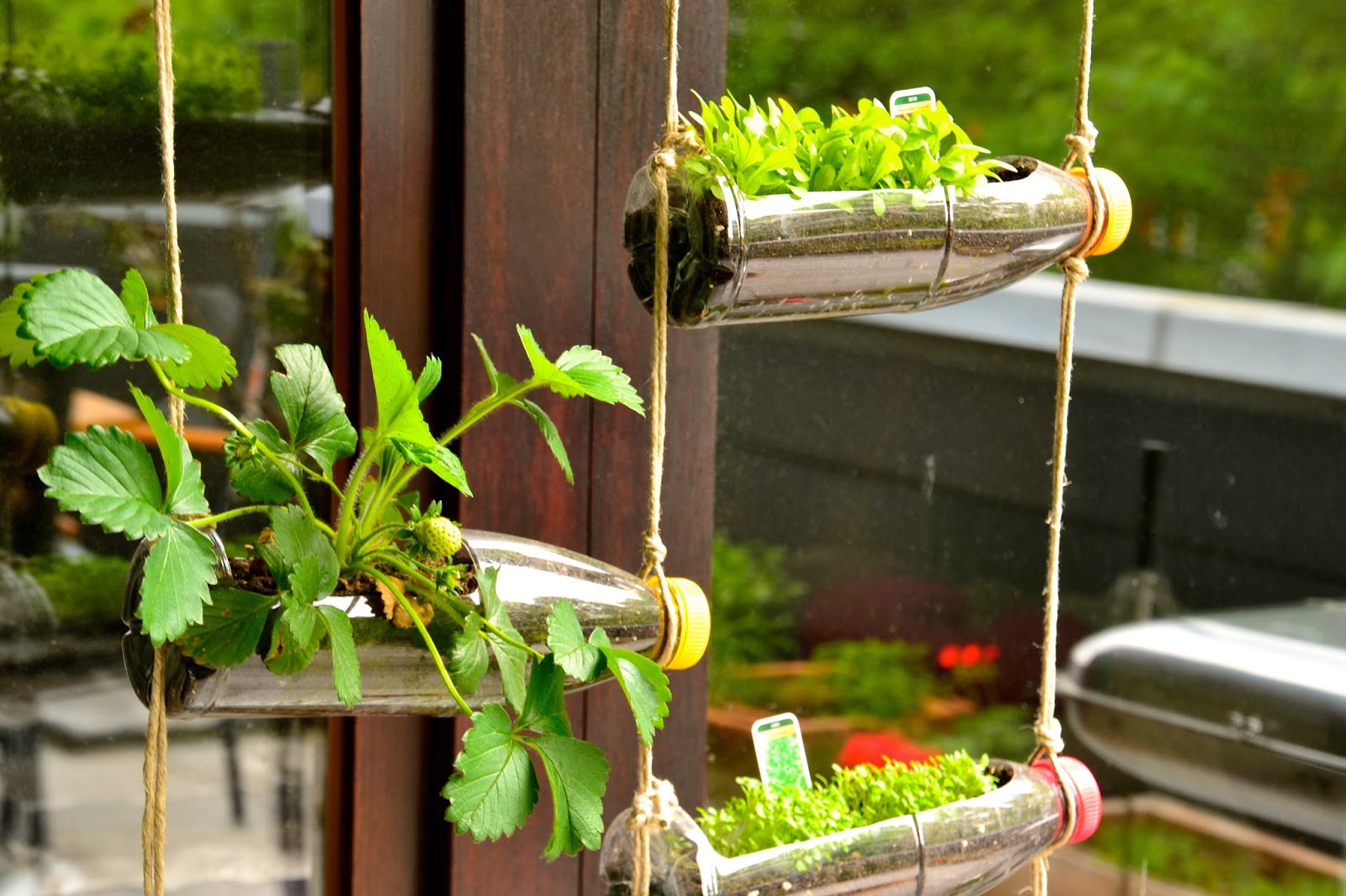 El Arte de Reciclar Jardín vertical hecho con botellas