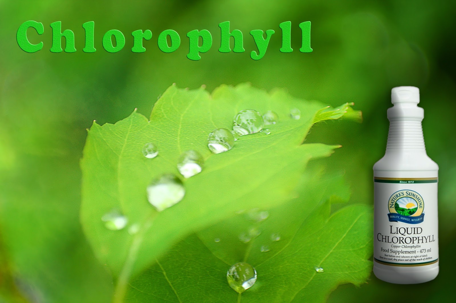 Использование хлорофилла. Хлорофилл НСП. Хлорофилл NSP. Liquid Chlorophyll NSP. Мохито НСП хлорофилл.