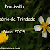 Procissão do Império da Trindade - 2009