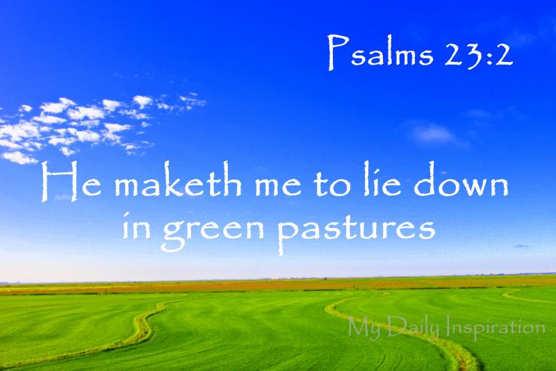 He makes me lie down in green pastures
