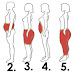 SEE WHERE YOU’RE GETTING FAT AND WE’LL TELL YOU HOW TO FIX IT