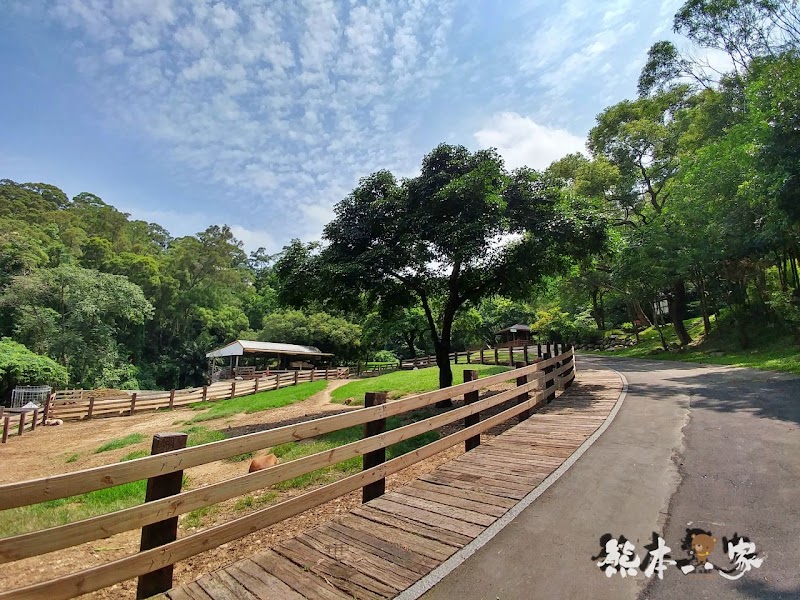 媲美清境青青草原|苗栗飛牛牧場|乳牛綿羊生態區~擠牛奶餵小羊小牛體驗
