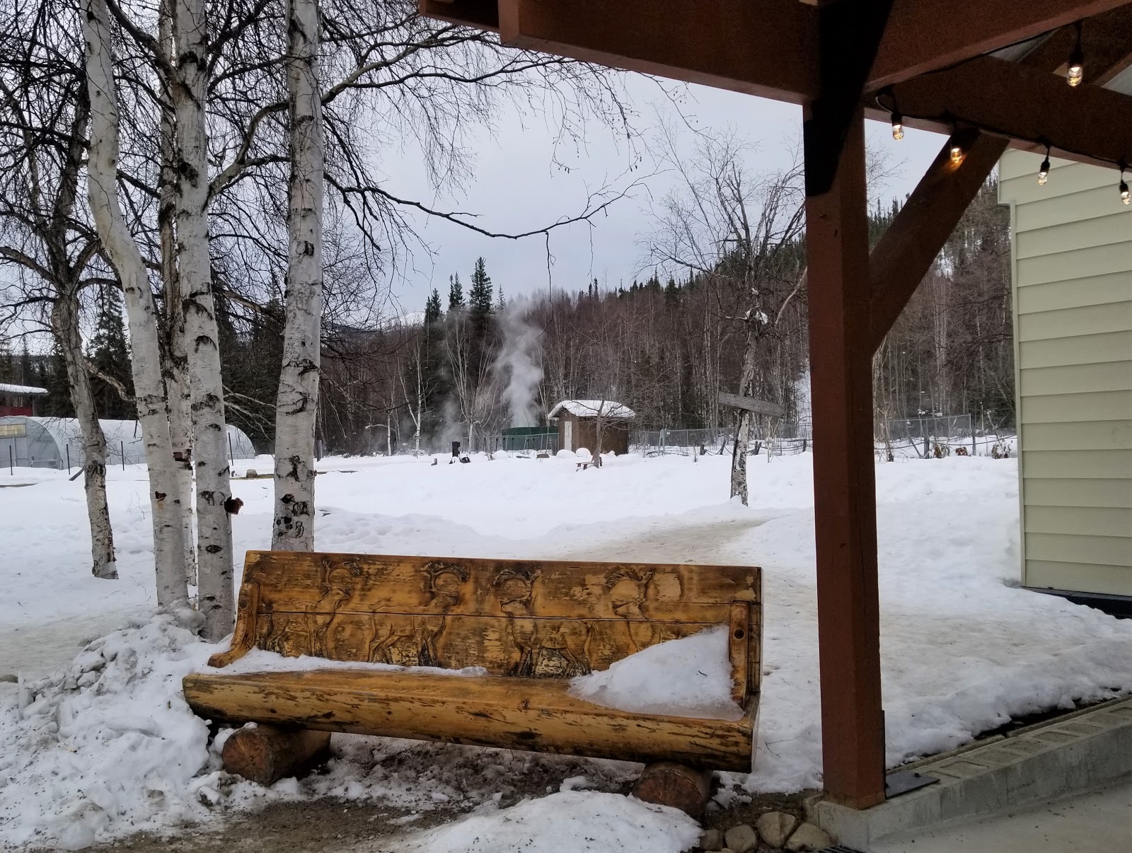 Chena Hot Springs Resort Exciting Winter Fun in Fairbanks, Alaska