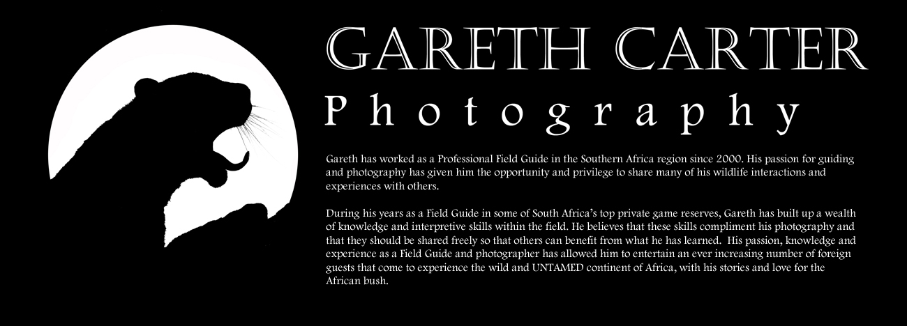 Gareth Carter Photography