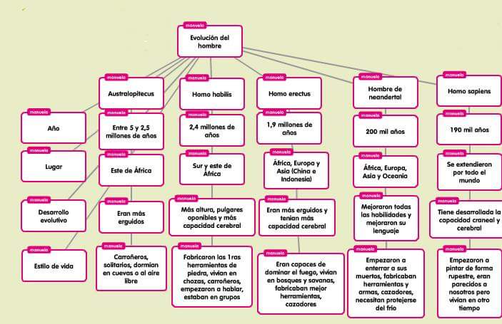 Evolución del hombre: cuadro comparativo