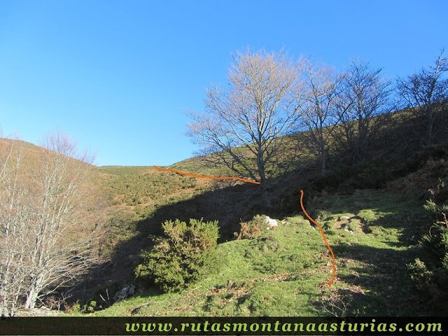 Sendero entre matorral