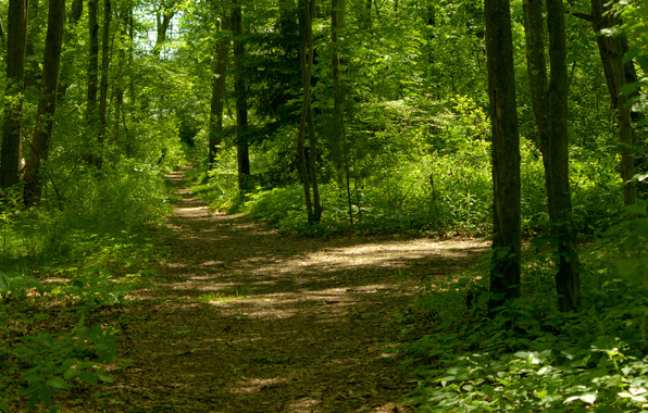 Free Nature Slideshow Screensaver Free Nature Slideshow Screensaver