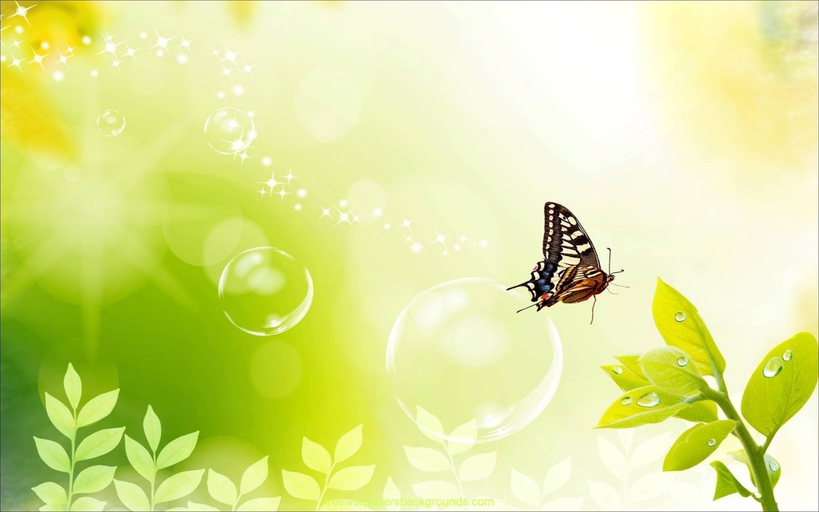 download Picture