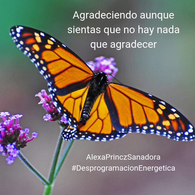 Taroscopo Y Desprogramación Energética Agradeciendo Aunque Sientas Que No Hay Nada Que Agradecer